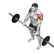 Demostración: Elevación frontal con barra