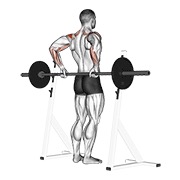 Demostración: Elevación posterior de deltoides con barra