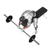 Demostración: Curl de muñeca invertido con barra