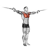 Demostración: Cross-over variation en polea