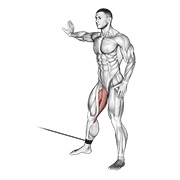 Demostración: Cadera adduction en polea