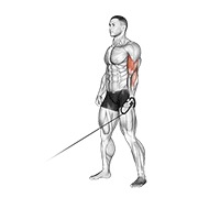 Demostración: Curl a un brazo en polea