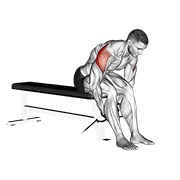 Demostración: Elevación lateral posterior sentado en polea