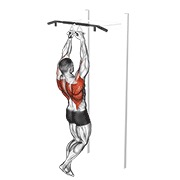 Demostración: Chin-ups (narrow en paralelas grip)