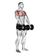 Demostración: Elevación frontal con mancuernas