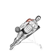 Demostración: Elevación lateral inclinada a un brazo con mancuernas
