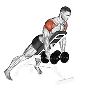 Demostración: Elevación lateral inclinada posterior con mancuernas