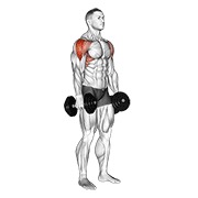 Demostración: Elevación lateral con mancuernas
