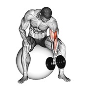 Demostración: Curl concentrado a un brazo con mancuernas (sobre pelota de estabilidad)