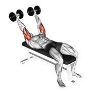 Demostración: Extensión de tríceps pronate-grip con mancuernas
