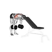 Demostración: Elevación lateral posterior con mancuernas (support head)