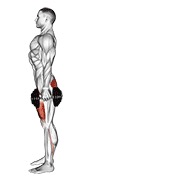 Demostración: Desplante posterior con mancuernas
