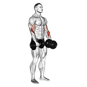 Demostración: Curl de bíceps revers grip con mancuernas