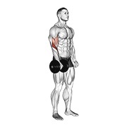 Demostración: Curl a un brazo invertido de pie con mancuernas