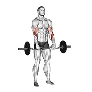 Demostración: Curl con agarre invertido con barra EZ