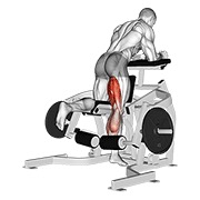 Demostración: Curl femoral de rodillas en máquina