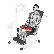 Demostración: Extensión de piernas en máquina