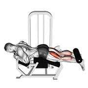 Demostración: Curl femoral acostado en máquina