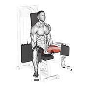 Demostración: Cadera adduction sentado en máquina