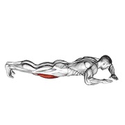 Demostración: Estiramiento de cuádriceps acostado (lateral)