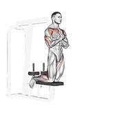 Demostración: Curl femoral inverse autoasistido