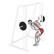 Demostración: Buenos días flexionado de rodilla en máquina Smith
