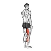 Demostración: Curl femoral individual de pie