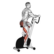 Demostración: Caminata stationary bike