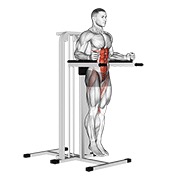 Demostración: Elevación de piernas vertical (on en paralelas bars)