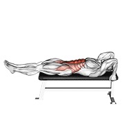 Demostración: Elevación leg-hip acostado
