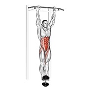 Demostración: Elevación leg-hip colgado con lastre
