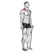Demostración: Encogimiento de hombros con banda