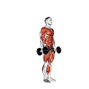 Demostración: Burpee con mancuernas
