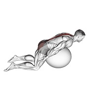 Demostración: Extensión lumbar con de brazos extended con pelota de estabilidad