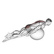 Demostración: Extensión lumbar con de rodillas off ground con pelota de estabilidad