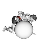 Demostración: Estiramiento dorsal con pelota de estabilidad