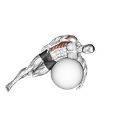 Demostración: Estiramiento lateral dorsal acostado con pelota de estabilidad