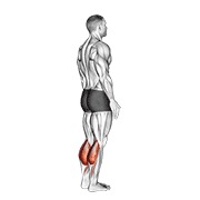 Demostración: Elevación de talones bodyweight de pie