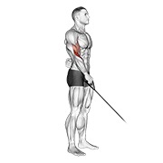 Demostración: Curl invertido a un brazo en polea