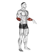 Demostración: Círculos de muñeca