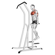 Demostración: Fondo de pecho (on dip-pull-up cage)