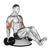 Demostración: Curl de bíceps en V sit on en bosu ball con mancuernas