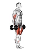 Demostración: Curl de bíceps lunge con mancuernas