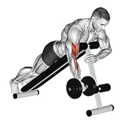 Demostración: Curl a un brazo boca abajo con mancuernas