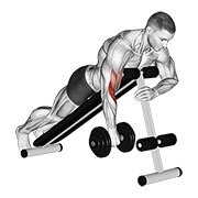 Demostración: Curl araña un brazo invertido con mancuernas