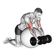 Demostración: Curl en banco Scott over exercise ball con mancuernas
