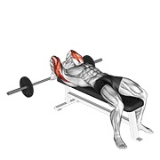 Demostración: Extensión de tríceps de espalda of head acostado con barra
