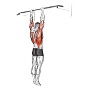 Demostración: Dominada de hombro grip