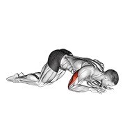 Demostración: Extensión de tríceps bodyweight de rodillas