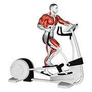 Demostración: Caminata elliptical cruzada trainer